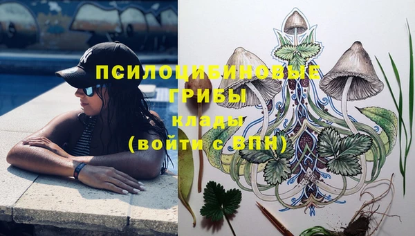 дживик Новозыбков