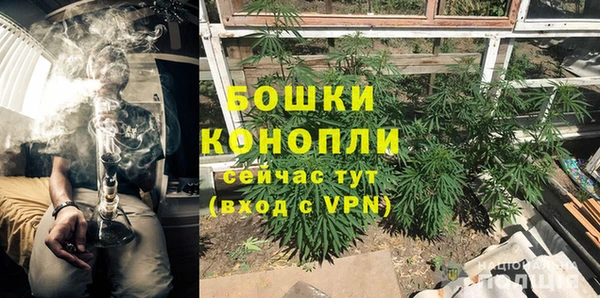 MDMA Новодвинск