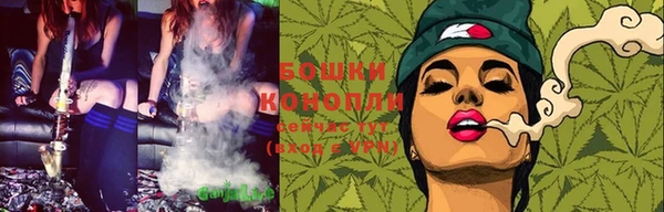 дживик Новозыбков