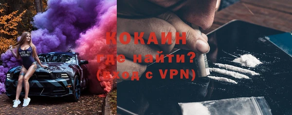 дживик Новозыбков