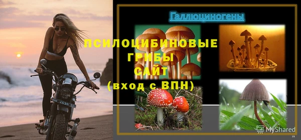 амф Новокубанск