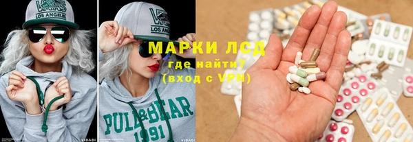 дживик Новозыбков