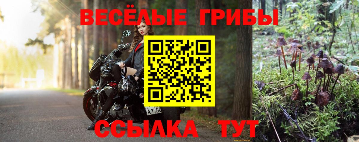 Псилоцибиновые грибы Cubensis  купить наркотик  Усолье-Сибирское  Вход с VPN 