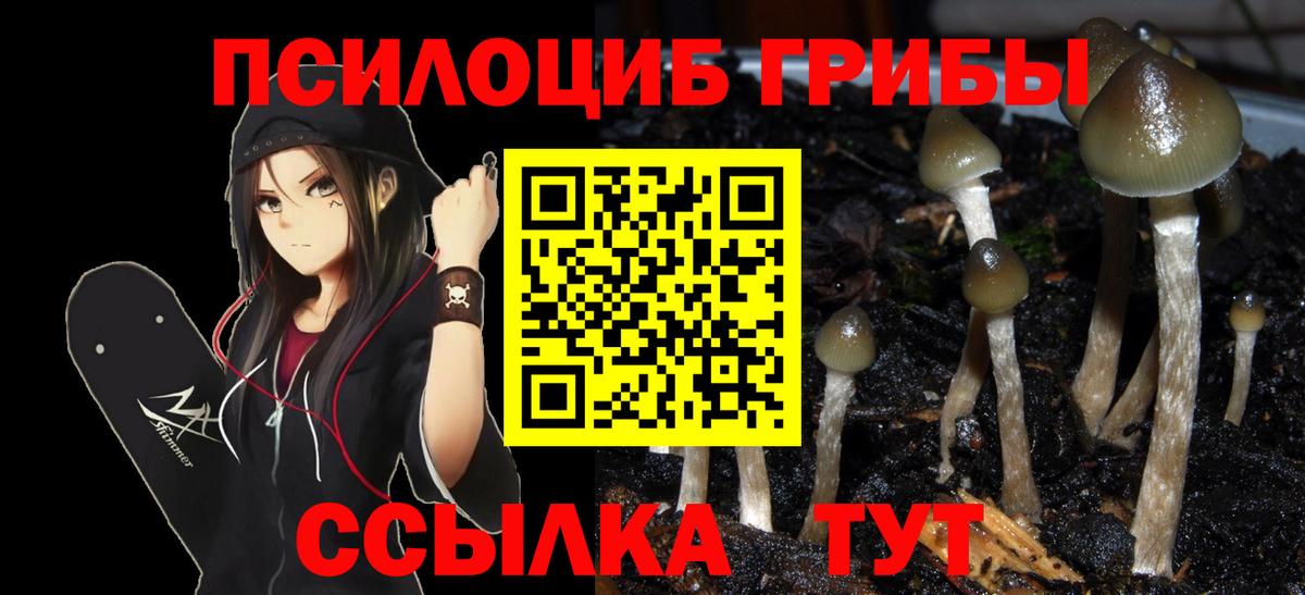 Галлюциногенные грибы ЛСД  Галлюциногенные грибы MAGIC MUSHROOMS  купить наркоту  Усолье-Сибирское 