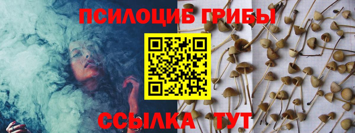 Псилоцибиновые грибы ЛСД Усолье-Сибирское